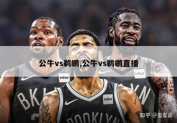 公牛vs鹈鹕,公牛vs鹈鹕直播