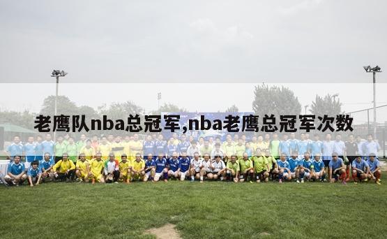 老鹰队nba总冠军,nba老鹰总冠军次数