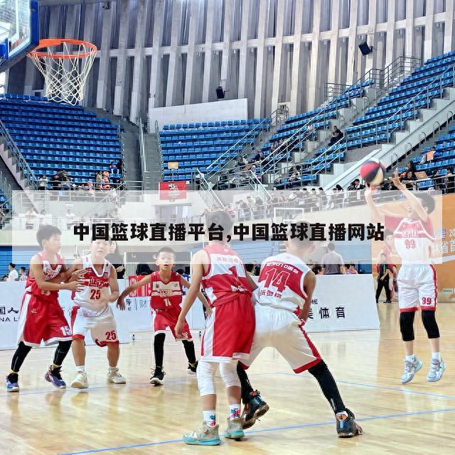 中国篮球直播平台,中国篮球直播网站