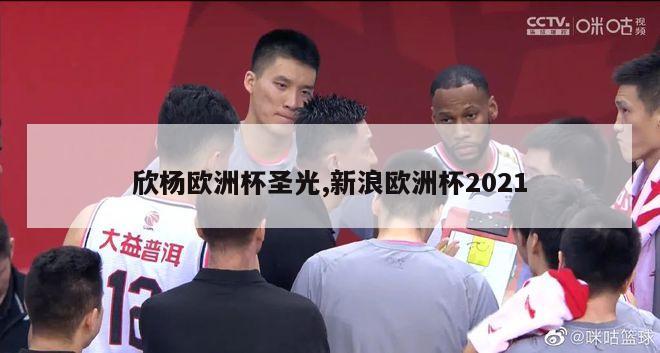 欣杨欧洲杯圣光,新浪欧洲杯2021