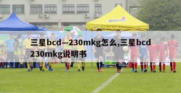 三星bcd—230mkg怎么,三星bcd230mkg说明书