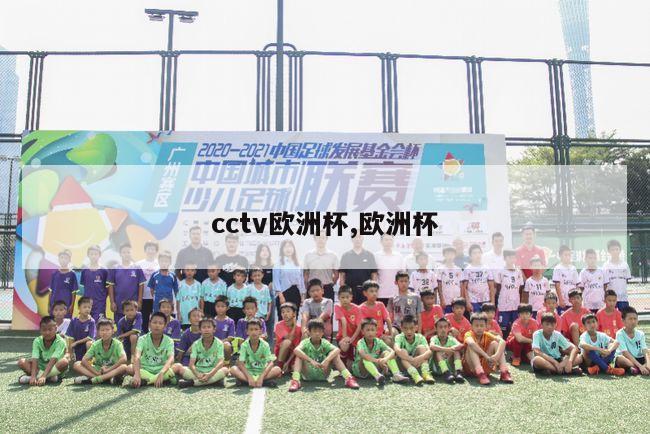 cctv欧洲杯,欧洲杯