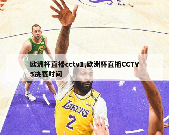 欧洲杯直播cctv1,欧洲杯直播CCTV5决赛时间