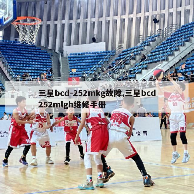 三星bcd-252mkg故障,三星bcd252mlgh维修手册