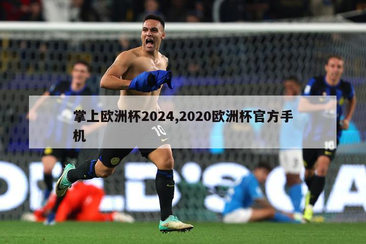 掌上欧洲杯2024,2020欧洲杯官方手机