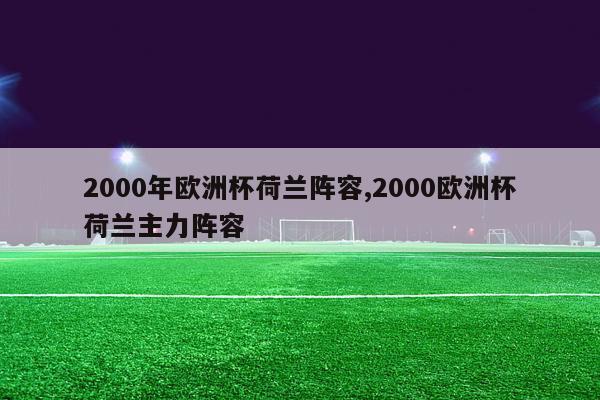 2000年欧洲杯荷兰阵容,2000欧洲杯荷兰主力阵容